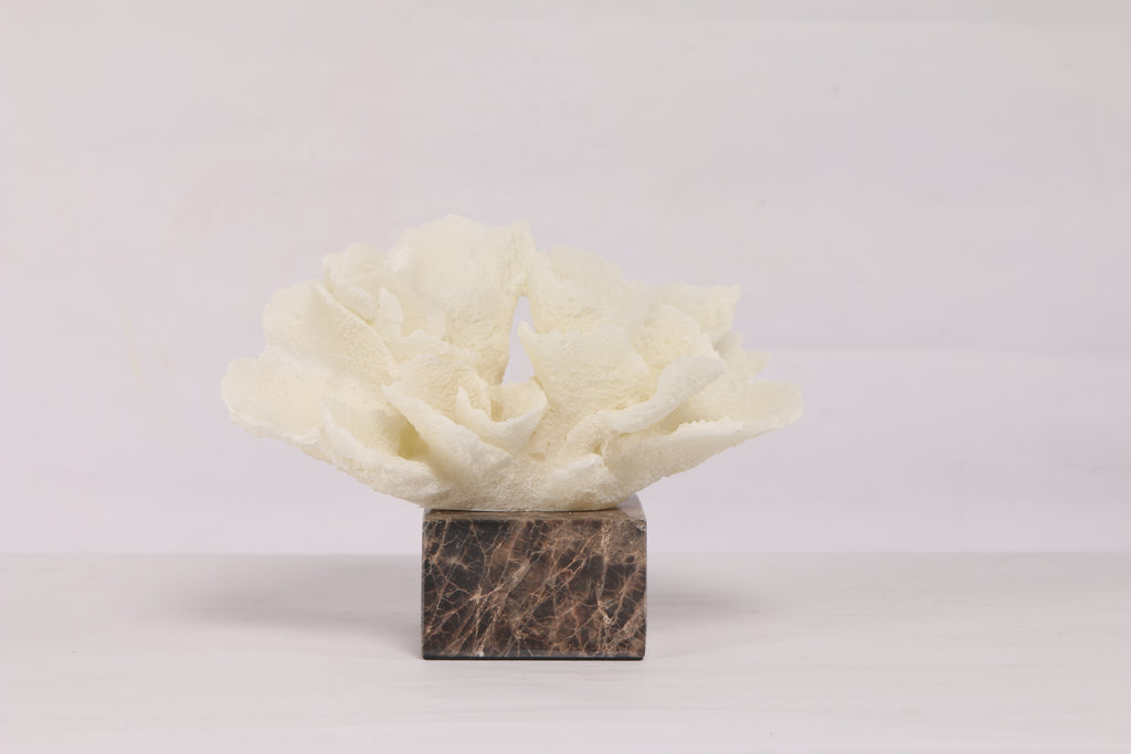 Flora Coral  ~ Marble Object