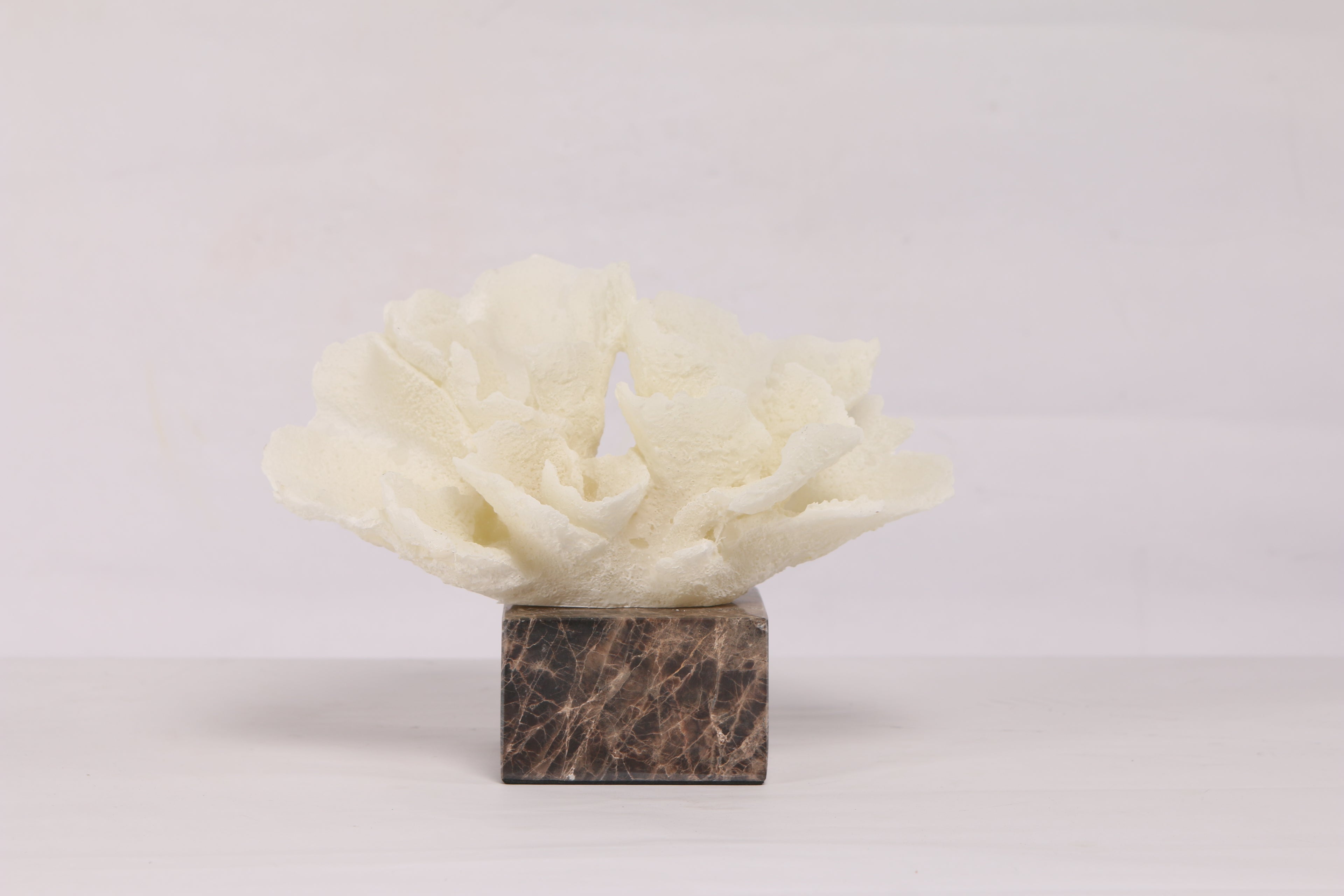 Flora Coral  ~ Marble Object