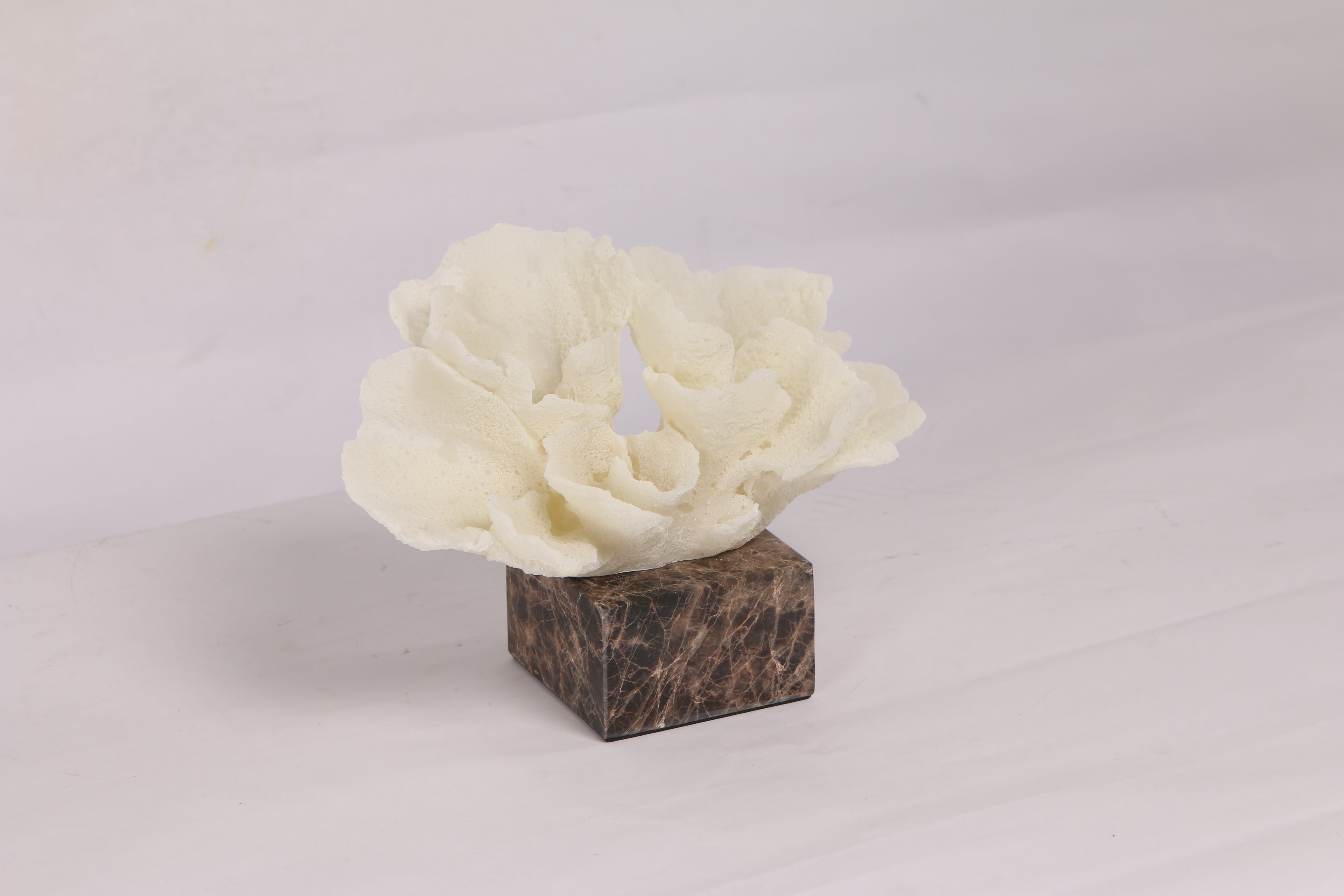 Flora Coral  ~ Marble Object