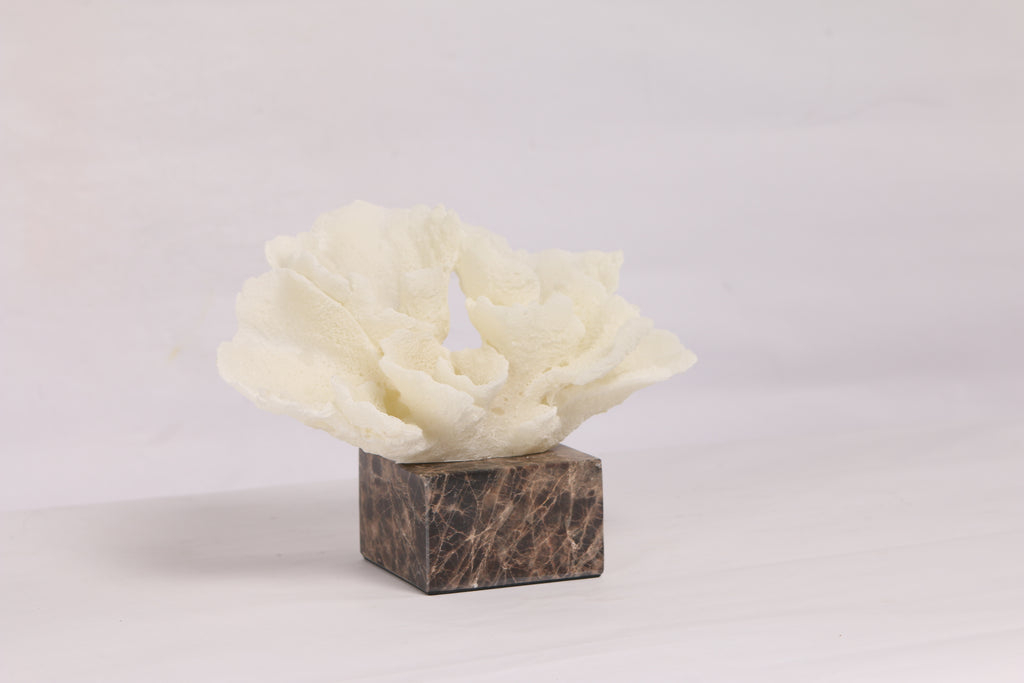 Flora Coral  ~ Marble Object