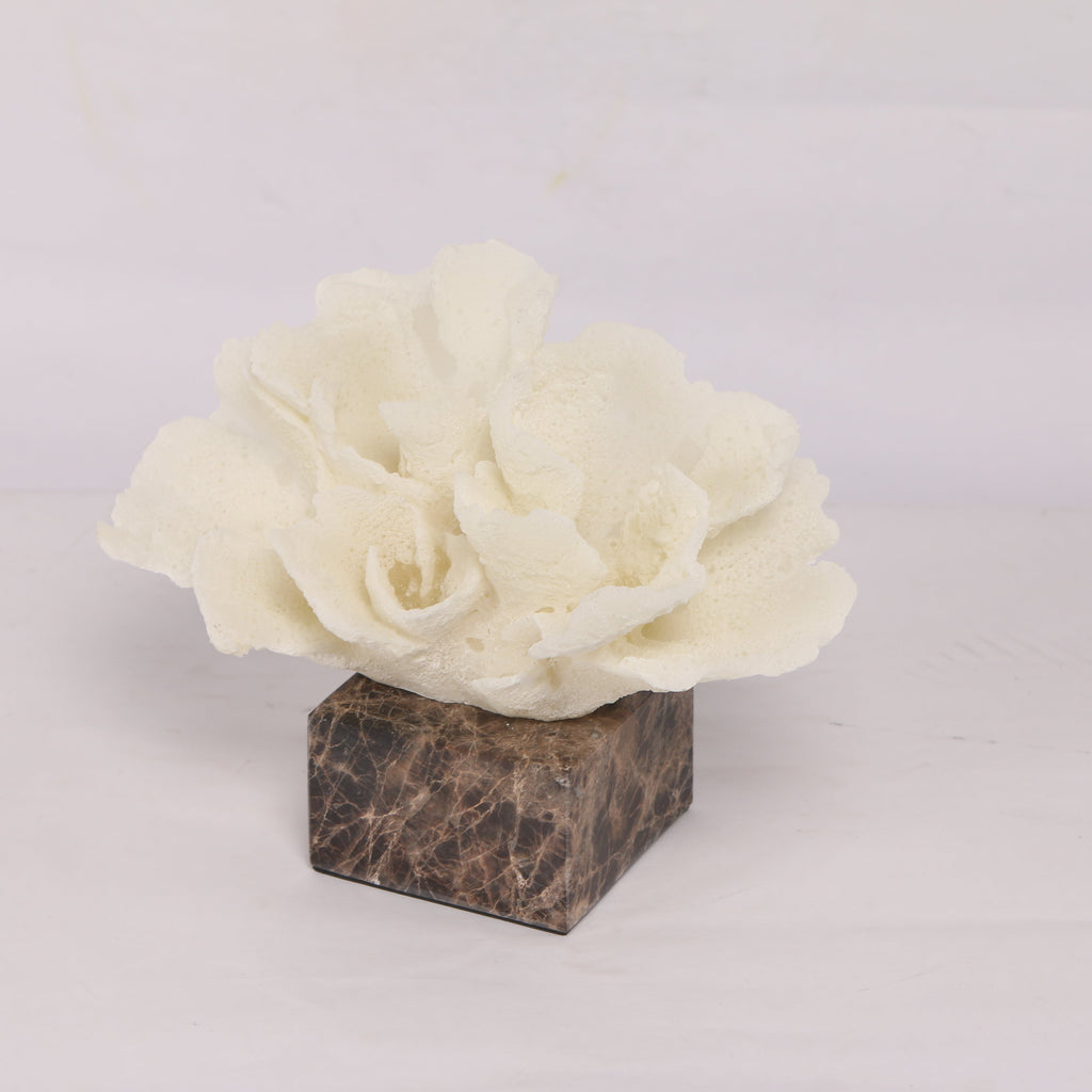 Flora Coral  ~ Marble Object